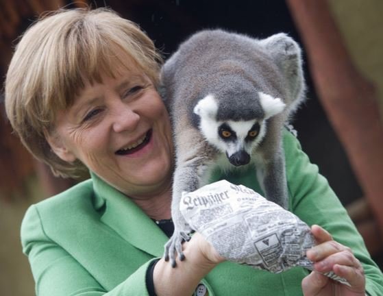 Οταν ο λεμούριος «αγάπησε» την Ανγκελα Μέρκελ [εικόνες]  | iefimerida.gr 2