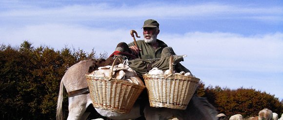 Ενα μουσείο αλλιώτικο από τα άλλα στα Μετέωρα [εικόνες & βίντεο] | iefimerida.gr 5