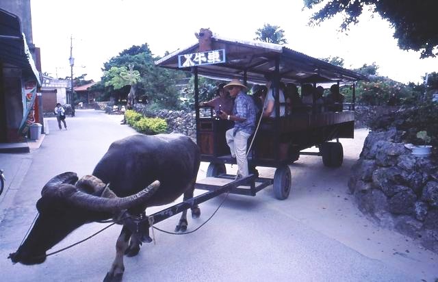 National Geographic: Τι τρώνε στην Ικαρία και ζουν τόσο πολύ [εικόνες] | iefimerida.gr 3