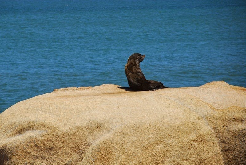 Ζωή χωρίς νερό, ρεύμα και δρόμους – Το πιο αντισυμβατικό χωριό στον κόσμο [εικόνες]  | iefimerida.gr 4