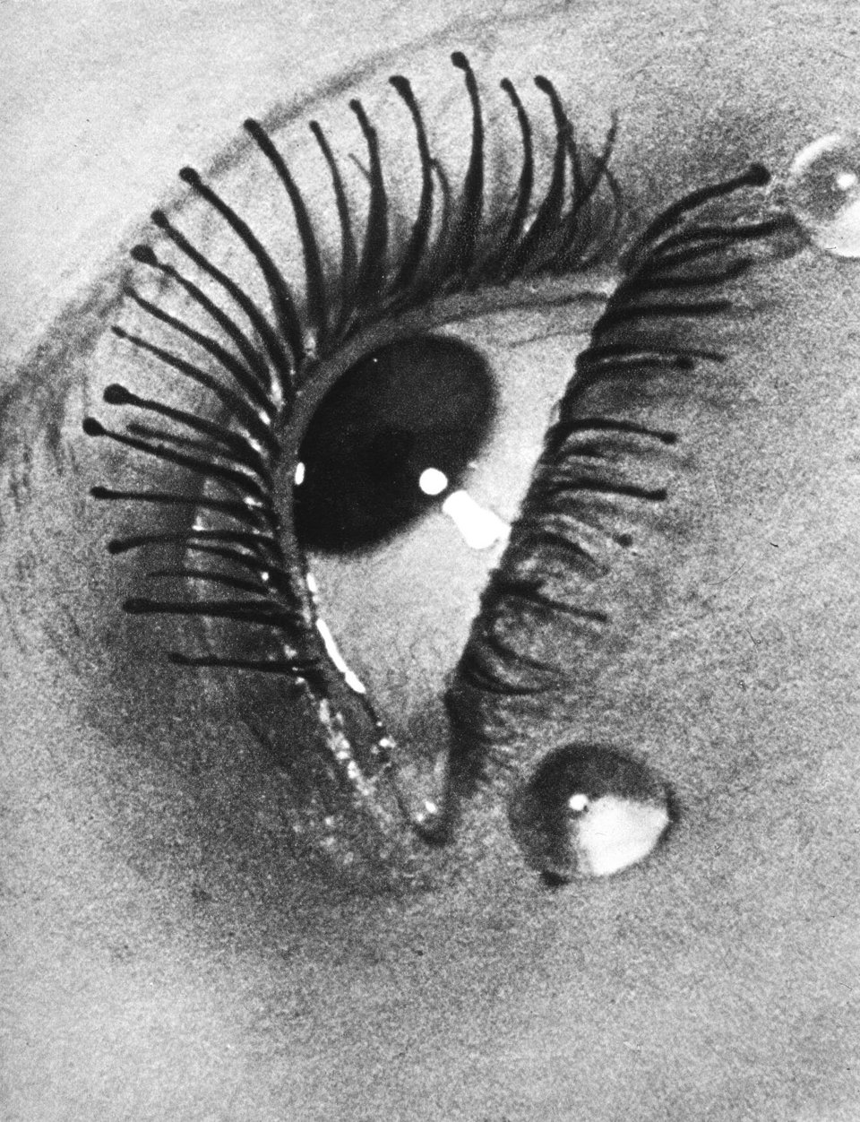 O γητευτής, βελούδινος, φωτογράφος Man Ray στην Ανδρο | iefimerida.gr 4
