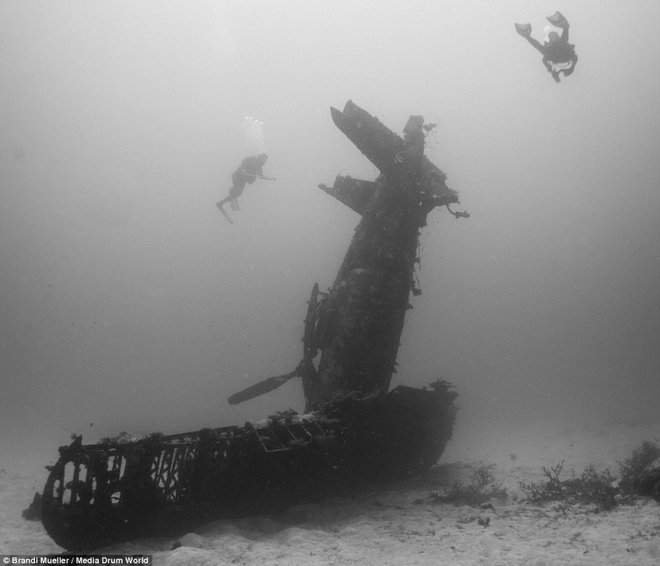 Τα ναυάγια του Β' Παγκοσμίου: Αεροπλάνα στον βυθό του Ειρηνικού -Τυλιγμένα με κοράλλια [εικόνες] | iefimerida.gr 8
