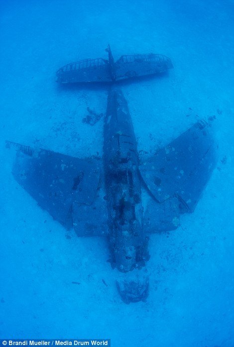 Τα ναυάγια του Β' Παγκοσμίου: Αεροπλάνα στον βυθό του Ειρηνικού -Τυλιγμένα με κοράλλια [εικόνες] | iefimerida.gr 7