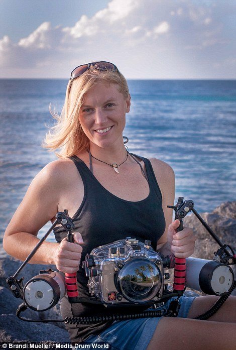 Τα ναυάγια του Β' Παγκοσμίου: Αεροπλάνα στον βυθό του Ειρηνικού -Τυλιγμένα με κοράλλια [εικόνες] | iefimerida.gr 0