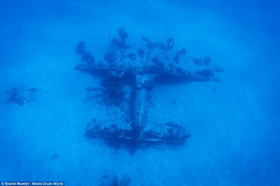 Τα ναυάγια του Β' Παγκοσμίου: Αεροπλάνα στον βυθό του Ειρηνικού -Τυλιγμένα με κοράλλια [εικόνες] | iefimerida.gr 5