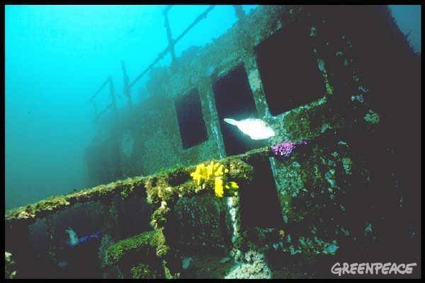 Η τραγική ιστορία πίσω από το μήνυμα της μπλούζας που φόρεσε ο Τσακαλώτος στην Κ.Ε. του ΣΥΡΙΖΑ [εικόνες] | iefimerida.gr 3