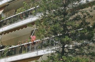 Η Αιμιλία Υψηλάντη έμενε στο νέο σπίτι του Βαρουφάκη [εικόνες] | iefimerida.gr 3