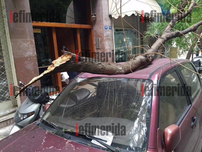 Συνέβη στο κέντρο της Αθήνας: Δένδρο ξεριζώθηκε από τον αέρα και συνέθλιψε αυτοκίνητο [εικόνες] | iefimerida.gr 0