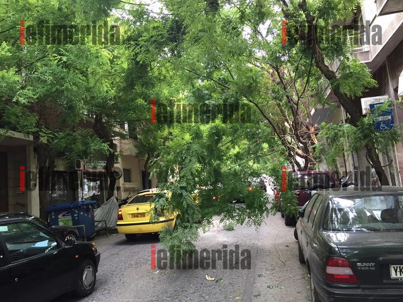Συνέβη στο κέντρο της Αθήνας: Δένδρο ξεριζώθηκε από τον αέρα και συνέθλιψε αυτοκίνητο [εικόνες] | iefimerida.gr 9