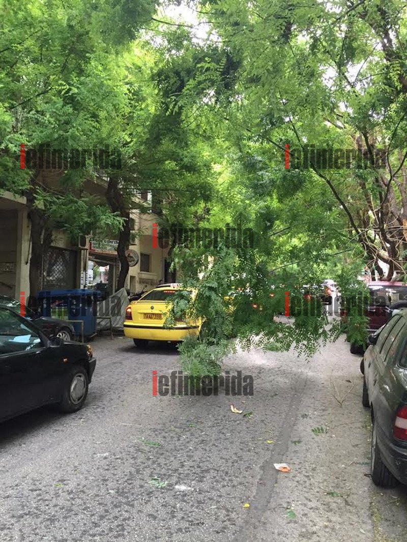 Συνέβη στο κέντρο της Αθήνας: Δένδρο ξεριζώθηκε από τον αέρα και συνέθλιψε αυτοκίνητο [εικόνες] | iefimerida.gr 10