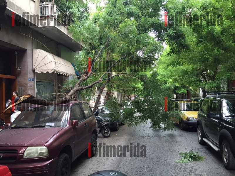 Συνέβη στο κέντρο της Αθήνας: Δένδρο ξεριζώθηκε από τον αέρα και συνέθλιψε αυτοκίνητο [εικόνες] | iefimerida.gr 1