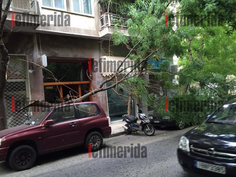 Συνέβη στο κέντρο της Αθήνας: Δένδρο ξεριζώθηκε από τον αέρα και συνέθλιψε αυτοκίνητο [εικόνες] | iefimerida.gr 4