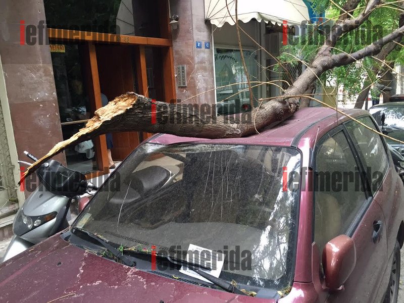 Συνέβη στο κέντρο της Αθήνας: Δένδρο ξεριζώθηκε από τον αέρα και συνέθλιψε αυτοκίνητο [εικόνες] | iefimerida.gr 5