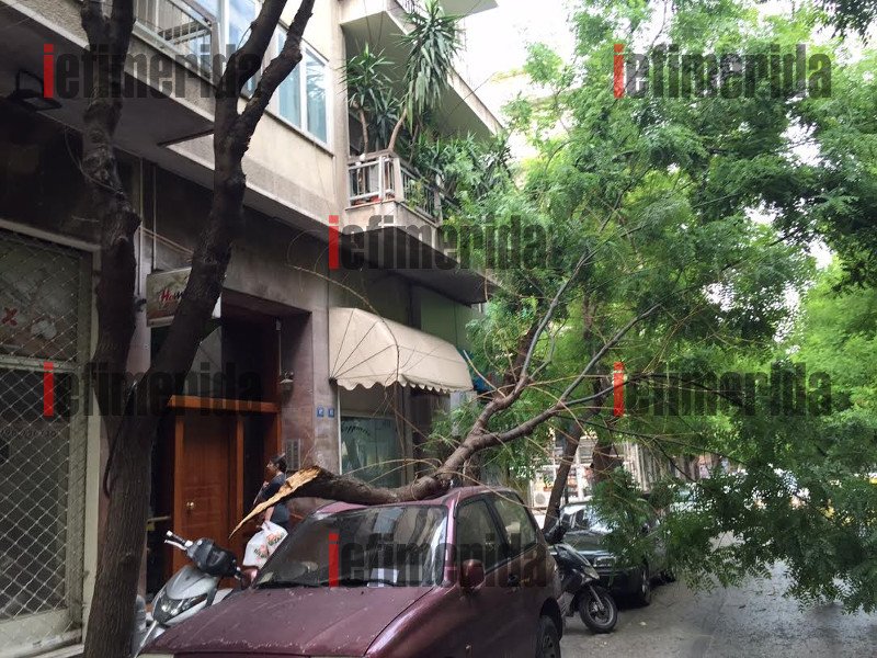 Συνέβη στο κέντρο της Αθήνας: Δένδρο ξεριζώθηκε από τον αέρα και συνέθλιψε αυτοκίνητο [εικόνες] | iefimerida.gr 6