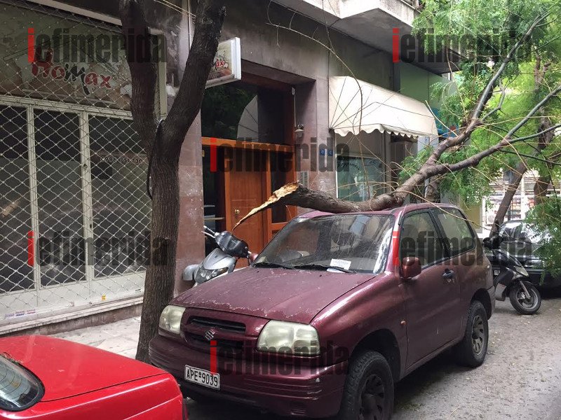 Συνέβη στο κέντρο της Αθήνας: Δένδρο ξεριζώθηκε από τον αέρα και συνέθλιψε αυτοκίνητο [εικόνες] | iefimerida.gr 8