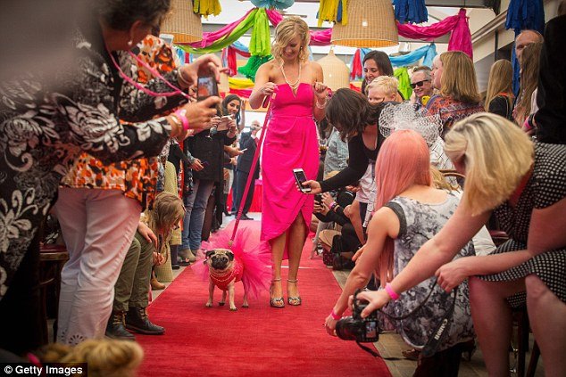 Ο σκυλίσιος γάμος της χρονιάς -Δύο παγκ ενώθηκαν με τα ιερά δεσμά του γάμου για καλό σκοπό [εικόνες] | iefimerida.gr 3