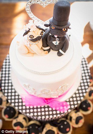 Ο σκυλίσιος γάμος της χρονιάς -Δύο παγκ ενώθηκαν με τα ιερά δεσμά του γάμου για καλό σκοπό [εικόνες] | iefimerida.gr 6