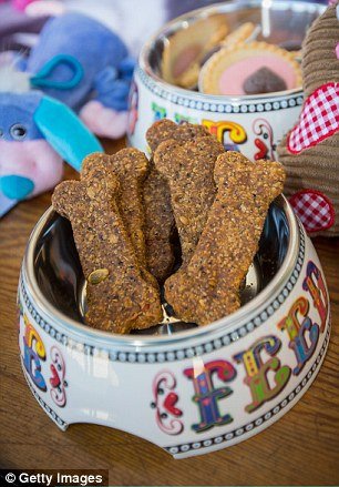 Ο σκυλίσιος γάμος της χρονιάς -Δύο παγκ ενώθηκαν με τα ιερά δεσμά του γάμου για καλό σκοπό [εικόνες] | iefimerida.gr 5