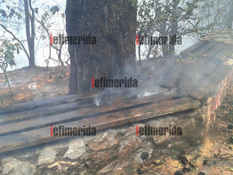 Πυρκαγιά κατέκαψε τη Ρεματιά στο Χαλάνδρι -Στάχτες το θέατρο [εικόνες & βίντεο] | iefimerida.gr 10