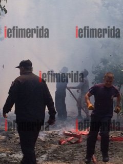 Πυρκαγιά κατέκαψε τη Ρεματιά στο Χαλάνδρι -Στάχτες το θέατρο [εικόνες & βίντεο] | iefimerida.gr 7