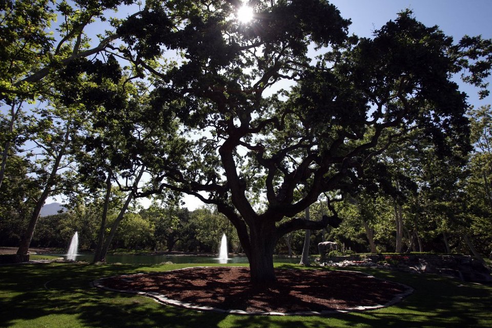 Μέσα στη Neverland: Το απίθανο ράντσο του Μάικλ Τζάκσον, που πουλιέται για 100 εκατ. δολάρια [εικόνες] | iefimerida.gr 8