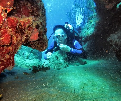 Παυλοπέτρι: Η αρχαία ελληνική βυθισμένη πόλη στους κορυφαίους προορισμούς για καταδύσεις [εικόνες] | iefimerida.gr 1