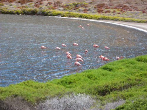 Μια σμαραγδένια λίμνη στέκεται επάνω σε έναν βράχο στη μέση του ωκεανού [εικόνες] | iefimerida.gr 0