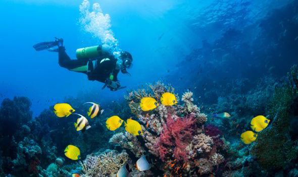 Ο δεκάλογος ενός τουρίστα στη Ζάκυνθο από την Express: Πού να πάει, τι να κάνει, τι να δει [εικόνες] | iefimerida.gr 1