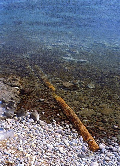 Μαγεία: Νέο απολιθωμένο δάσος ανακαλύφθηκε στη Λέσβο | iefimerida.gr 1
