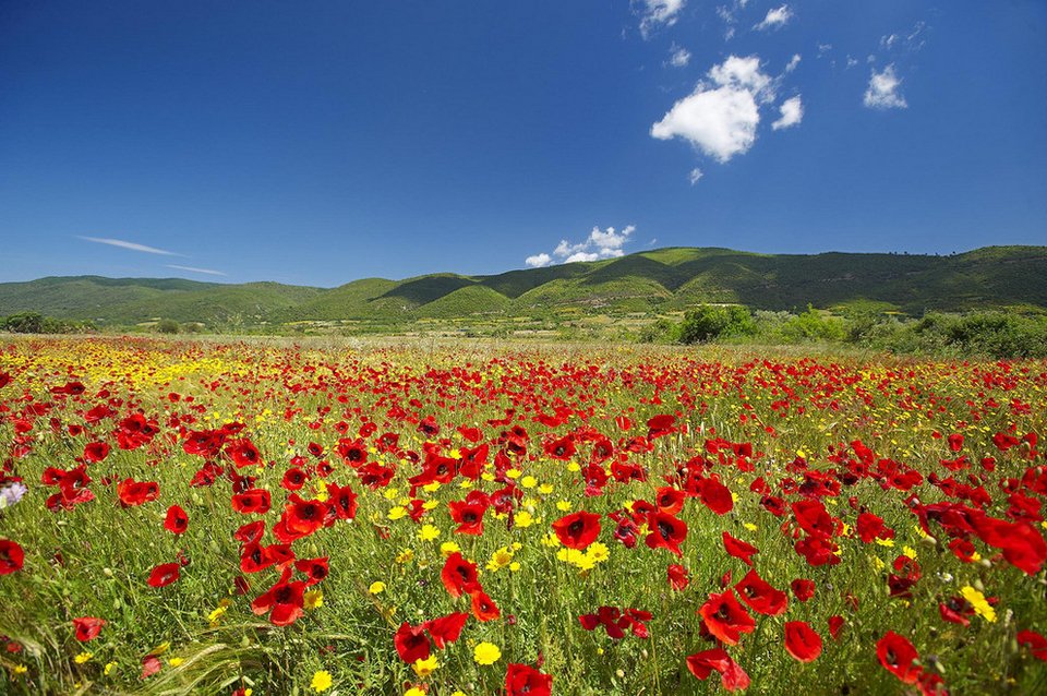 Οι 25 λόγοι για να μην επισκεφτείτε την Ελλάδα ή μήπως όχι; -Το ανατρεπτικό αφιέρωμα του Buzzfeed [εικόνες] | iefimerida.gr 0
