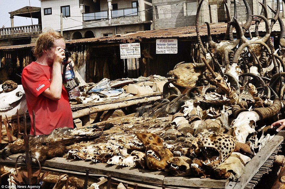 Κεφάλια ζώων και κέρατα στην τρομακτική αγορά βουντού της Αφρικής [εικόνες] | iefimerida.gr 15