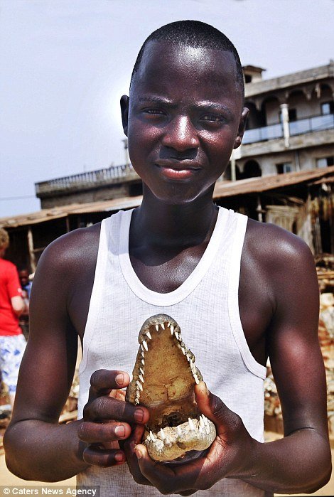 Κεφάλια ζώων και κέρατα στην τρομακτική αγορά βουντού της Αφρικής [εικόνες] | iefimerida.gr 3