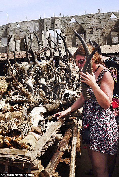 Κεφάλια ζώων και κέρατα στην τρομακτική αγορά βουντού της Αφρικής [εικόνες] | iefimerida.gr 5