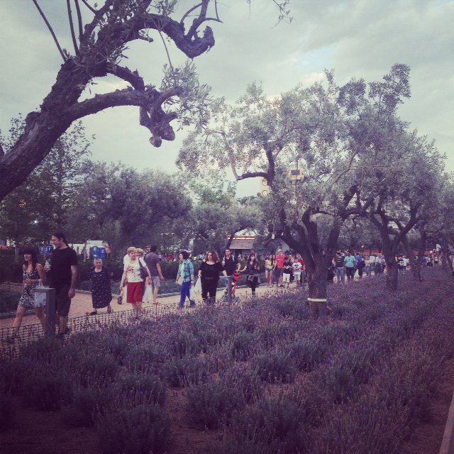 Δεν είναι το Central Park, είναι η Καλλιθέα: 10.200 άτομα χθες στο Πάρκο Σταύρος Νιάρχος [εικόνες] | iefimerida.gr 1