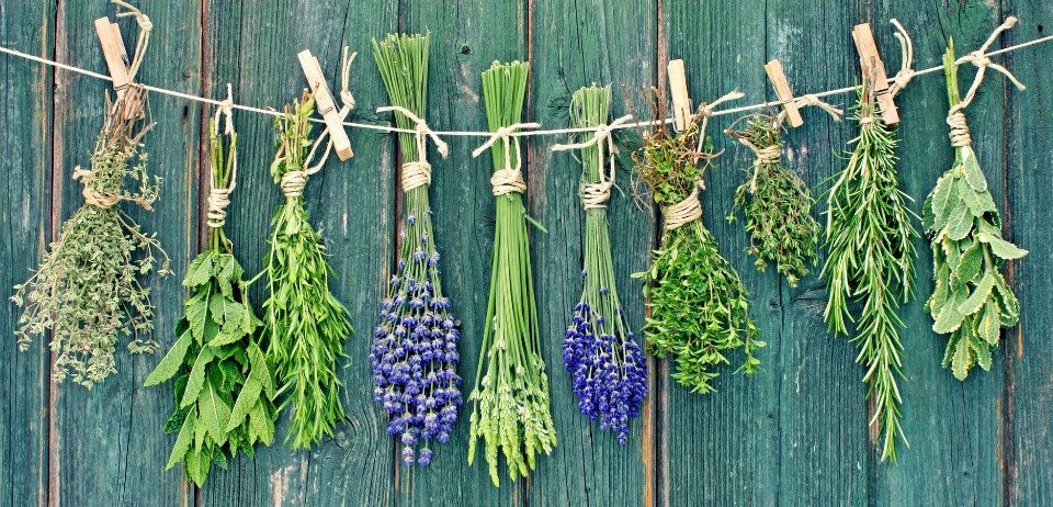 Τα 6 τρόφιμα που απαγορεύεται να μπουν στο ψυγείο [εικόνες] | iefimerida.gr 5