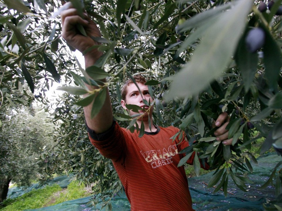 Business Insider: 12 εντυπωσιακά στοιχεία για την ελληνική οικονομία - Από την αρχαιότητα μέχρι σήμερα [εικόνες] | iefimerida.gr 10