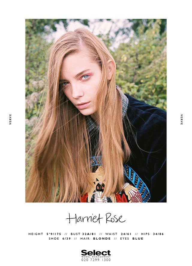 Πεταχτά αυτιά, ο κρυφός εφιάλτης [εικόνες] | iefimerida.gr 4