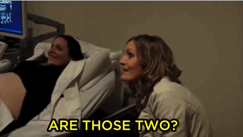 Εγινε viral: Η αντίδραση νεαρής όταν μαθαίνει ότι θα γίνει θεία δίδυμων [gif & βίντεο] | iefimerida.gr 1