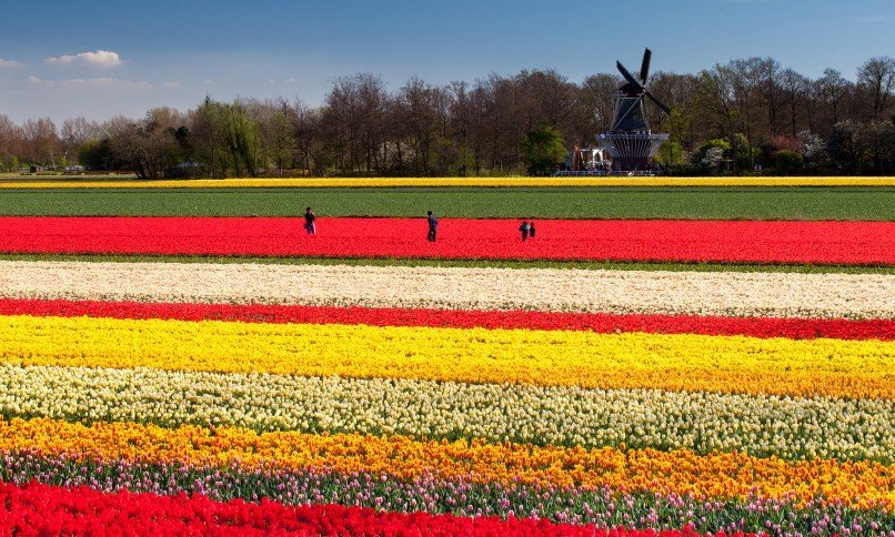 Εκεί τίποτα δεν είναι μουντό -Μια από τις πιο πολύχρωμες πόλεις της Ευρώπης βρίσκεται σε ελληνικό νησί [εικόνες] | iefimerida.gr 19