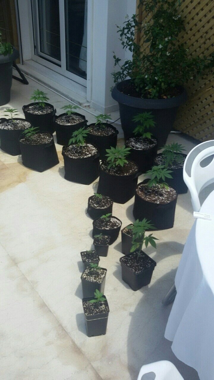 Γιος γνωστού επιχειρηματία σε σπείρα ναρκωτικών -Συνελήφθη μαζί με άλλα 11 άτομα [εικόνες] | iefimerida.gr 7