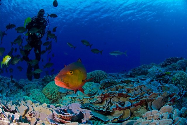 Αυτή είναι η μικρότερη χώρα στον κόσμο -Η ζωή των 48 κατοίκων της [εικόνες] | iefimerida.gr 6