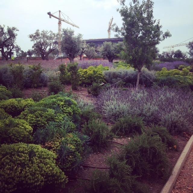 Η ψυχή μπαίνει στο σώμα: Ανοίγει για το κοινό το Πάρκο Πολιτισμού Σταύρος Νιάρχος [εικόνες] | iefimerida.gr 2