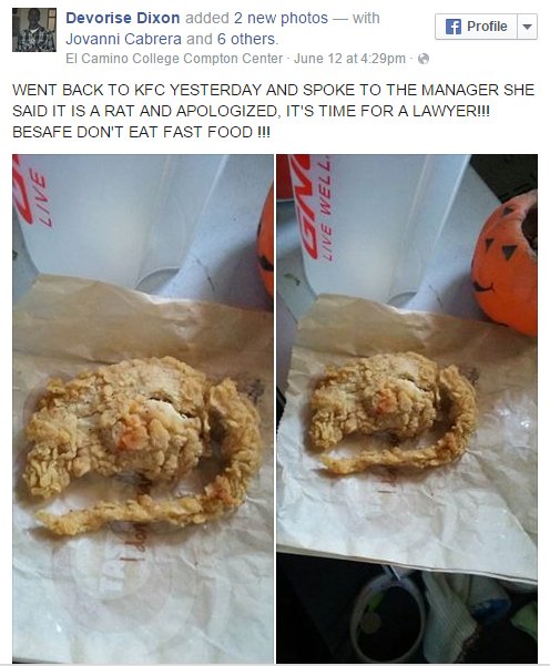 Παγκόσμιος σάλος με τον καλοτηγανισμένο αρουραίο των KFC [εικόνες] | iefimerida.gr 0