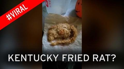 Παγκόσμιος σάλος με τον καλοτηγανισμένο αρουραίο των KFC [εικόνες] | iefimerida.gr 2