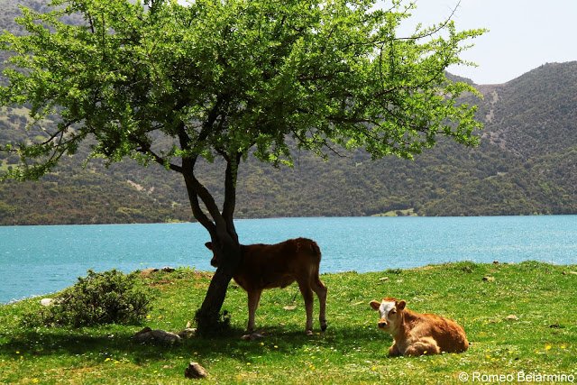 Αμερικανοί γύρισαν την Ελλάδα με 4Χ4 και εκστασιάστηκαν: Κλαίγαμε όταν τελείωσε [εικόνες & βίντεο] | iefimerida.gr 16