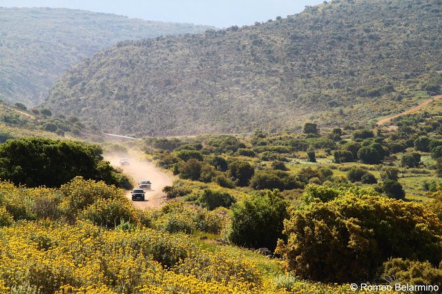 Αμερικανοί γύρισαν την Ελλάδα με 4Χ4 και εκστασιάστηκαν: Κλαίγαμε όταν τελείωσε [εικόνες & βίντεο] | iefimerida.gr 4
