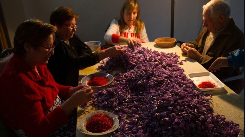 Το μπαχαρικό που πουλιέται πιο ακριβά από τον χρυσό - Εχει και η Ελλάδα αυτόν τον θησαυρό [εικόνες] | iefimerida.gr 4