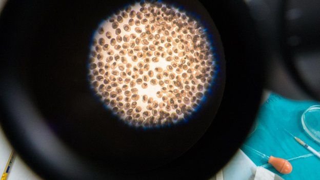 Το πιο θανατηφόρο φαγητό στον κόσμο - Προκαλεί καρκίνο στο συκώτι [εικόνες] | iefimerida.gr 0