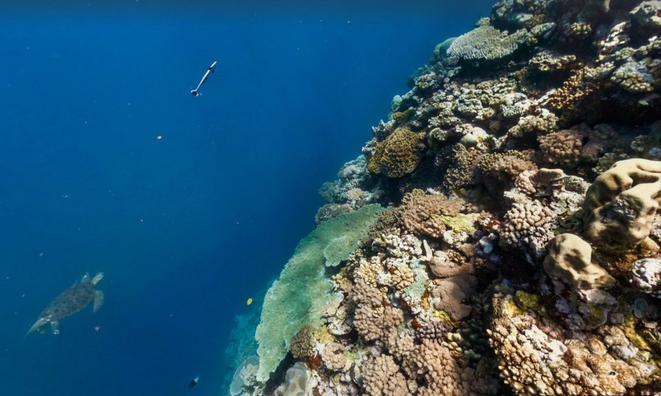 Η Google κάνει «βουτιά» στον ωκεανό -Ταξίδι σε τροπικά νησιά [εικόνες] | iefimerida.gr 6