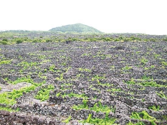 Το κρυμμένο μυστικό της Ευρώπης -Τα καταπράσινα νησιά με τα σμαραγδένια νερά, τους αμπελώνες και τις άλλης εποχής πόλεις [εικόνες] | iefimerida.gr 6